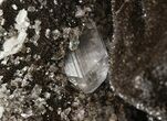 Polished Septarian Geode Sculpture - Black Crystals #45211-3